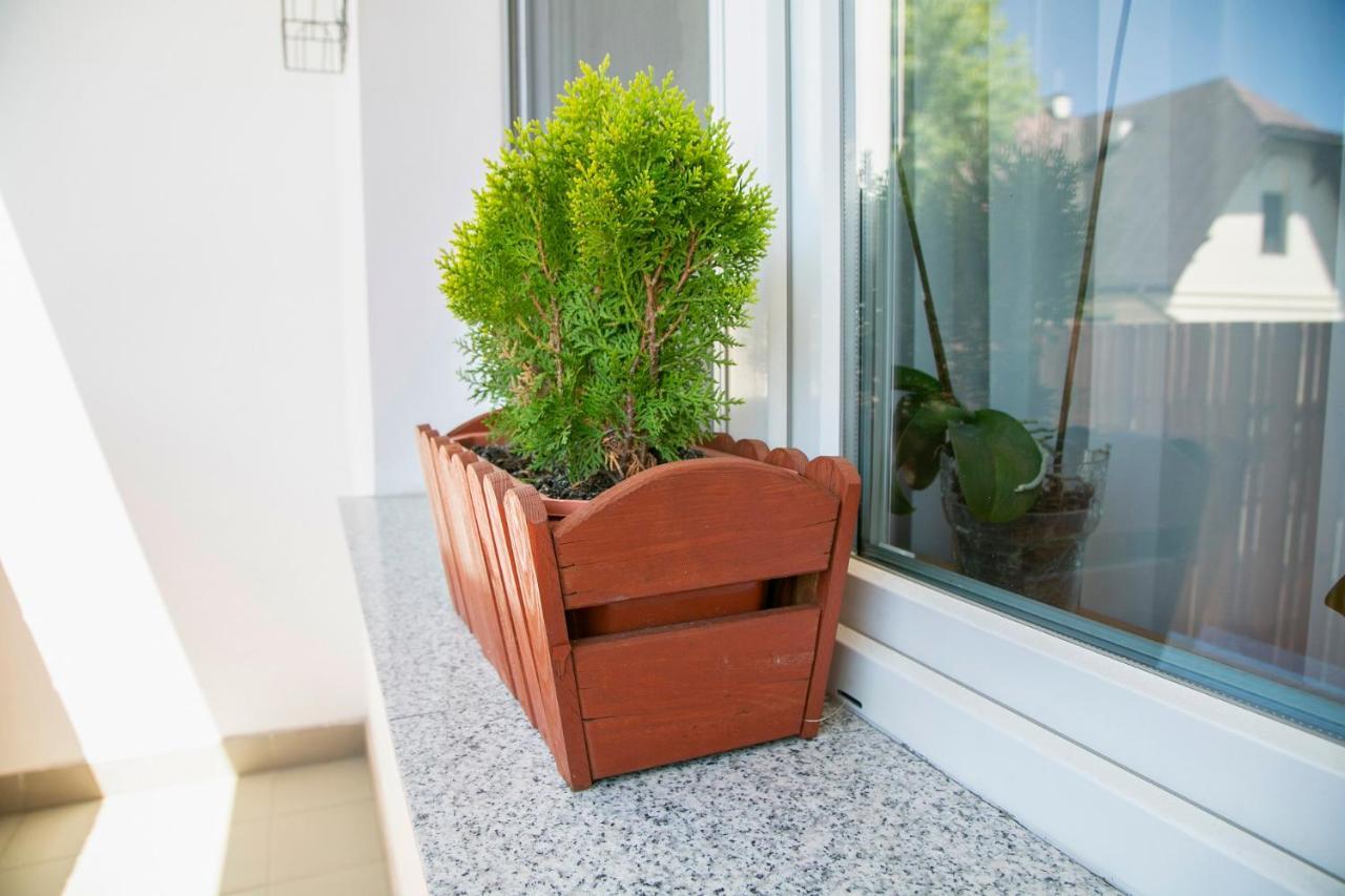Best Apartment Тарнов Екстериор снимка